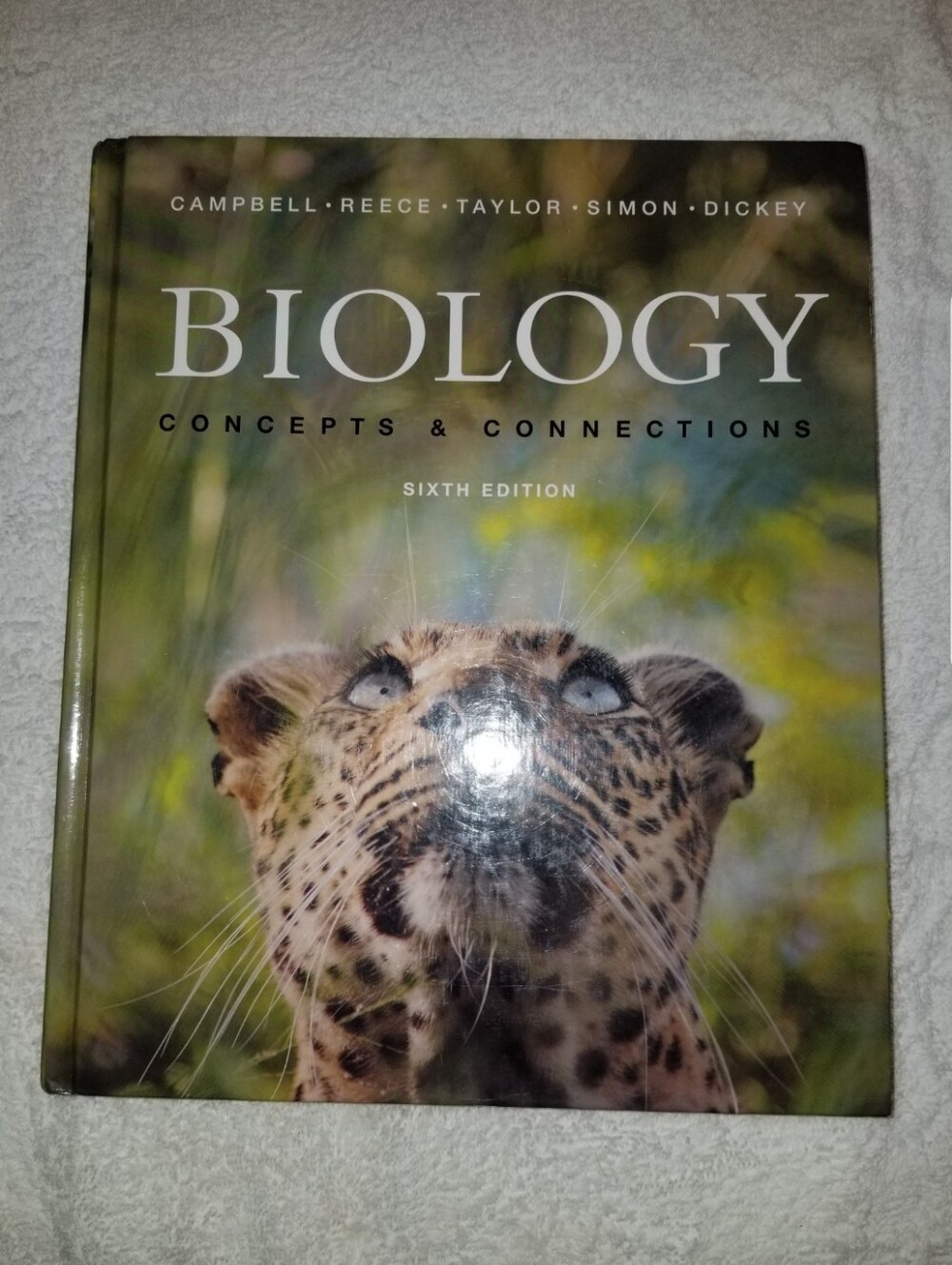 Biology Concepts & Connections Sixth Edition Hardback Book